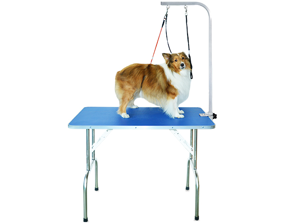 Grooming Table Medium 32