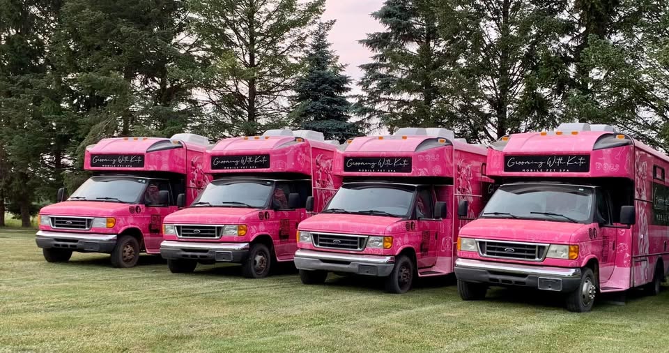 The Grooming With Kate fleet of pink mobile grooming buses