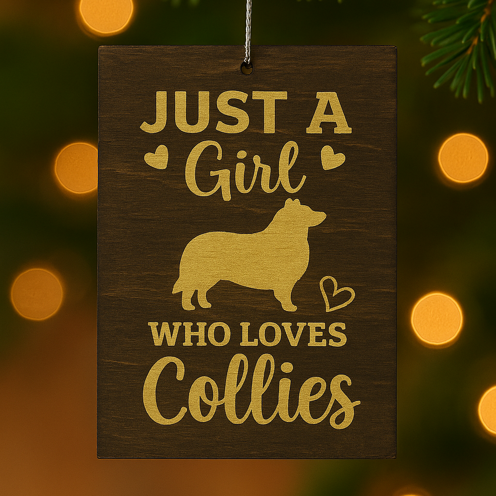 Girl Who Loves Collies Ornament