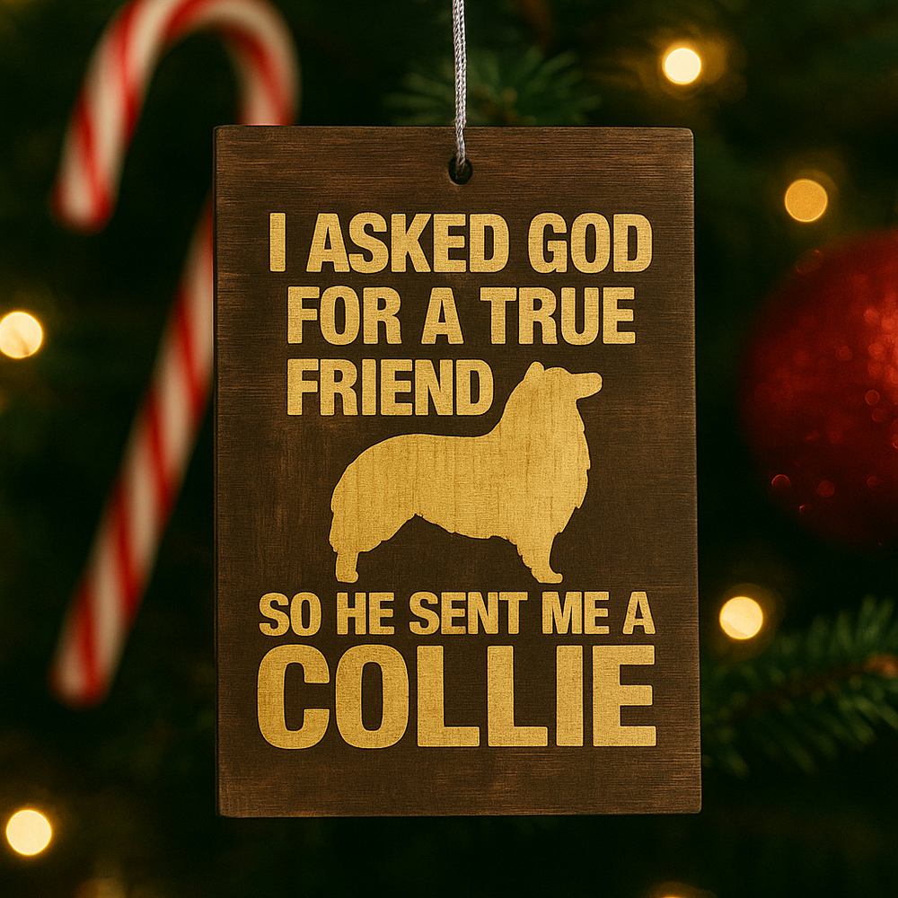 He Sent me a Collie Ornament