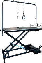 Electric Lift Grooming Table